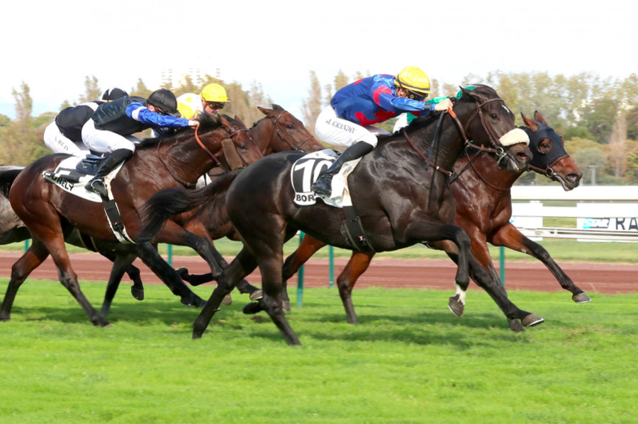 Passion du cheval - Grand Prix de Marseille Borely 2022
