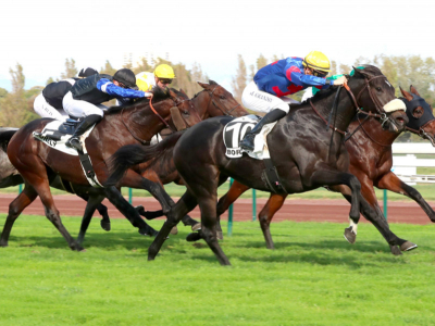 Passion du cheval - Grand Prix de Marseille Borely 2022